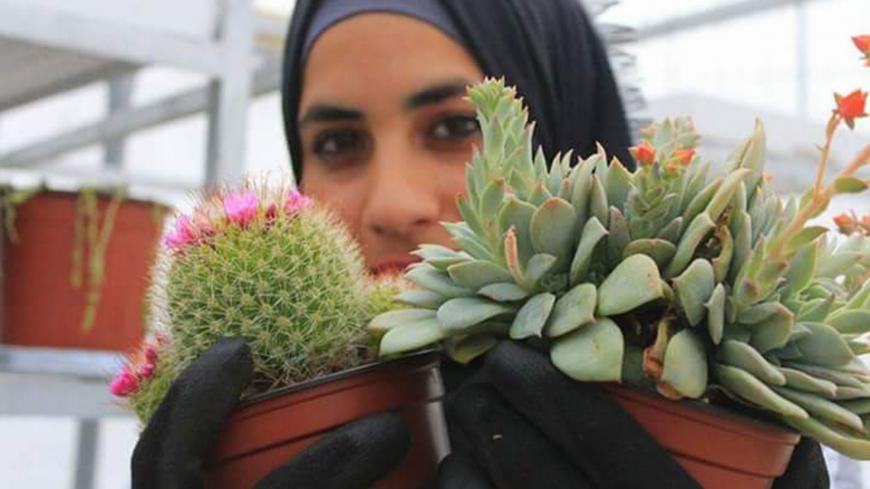 Cactus_Story.jpg