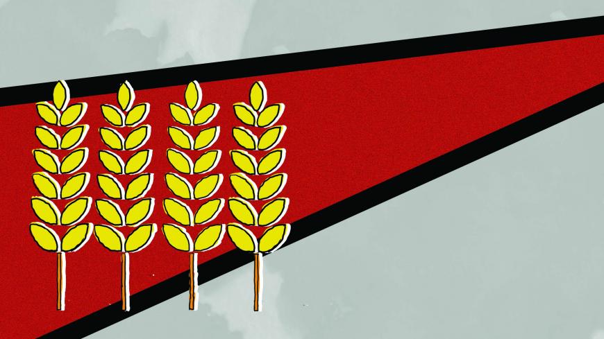Iraq_wheat.jpg
