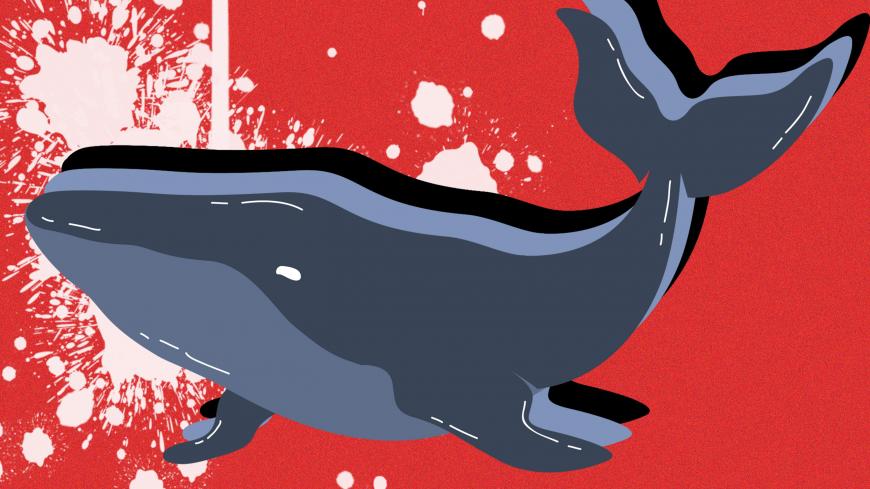 Blue_whale.jpg