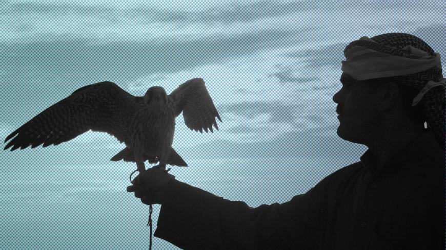 A falcon perches on a Bedouin hunter's arm during a hunt in a desert south of Samawa, 270 km (160 miles) south of Baghdad November 30, 2007. Picture taken November 30, 2007.    REUTERS/Mohammed Ameen     (IRAQ) - GM1DWSRKRDAA