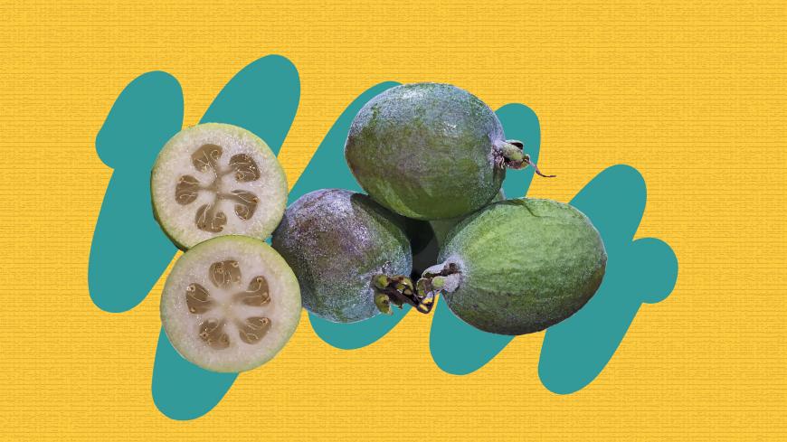 Feijoa_1.jpg
