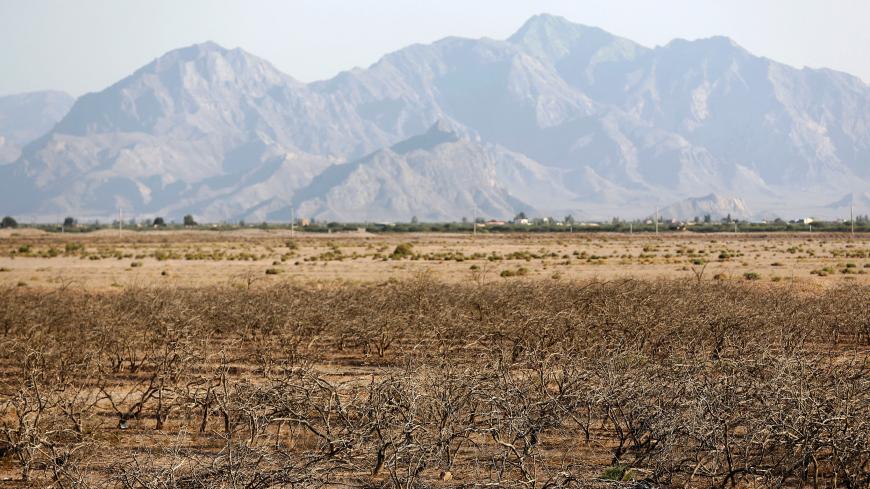 A picture taken on August 14, 2016 in a abandoned village near the southern Iranian city of Sirjan shows dead pistachio trees at a field that farmers left behind due to the lack of water.
The pistachio trees at the village in southern Iran are long dead, bleached white by the sun -- the underground water reserves sucked dry by decades of over-farming and waste. The last farmers left with their families 10 years ago, and the village has the look of an abandoned Martian colony. / AFP / ATTA KENARE / TO GO WIT