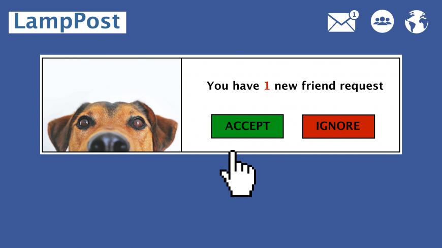 Egypt_Dogs_Facebook_1.jpg