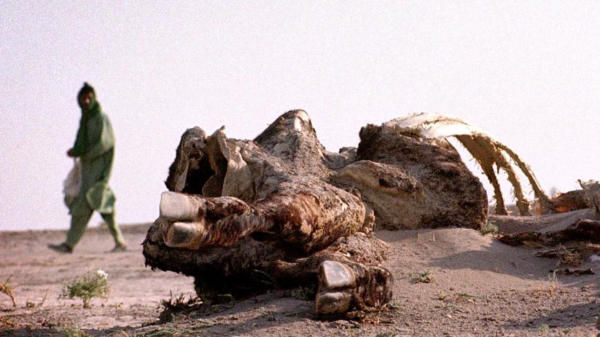 A man walks past the partially sand covered carcass of a cow in the dried up bed of the Hamoon lake outside Zabol, Iran July 17, 2001 which has dried up after 3 consecutive years of drought in southeastern Iran. The local government in Iran's Sistan-Baluchistan province has started a massive job-creating campaign to keep drought-stricken farmers from migrating to the cities. - PBEAHUKZGCL