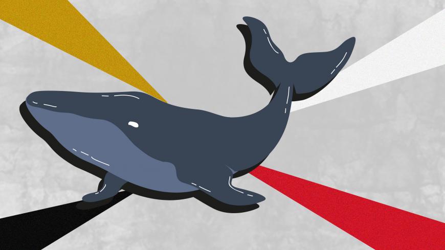 Blue_Whale_Egypt.jpg