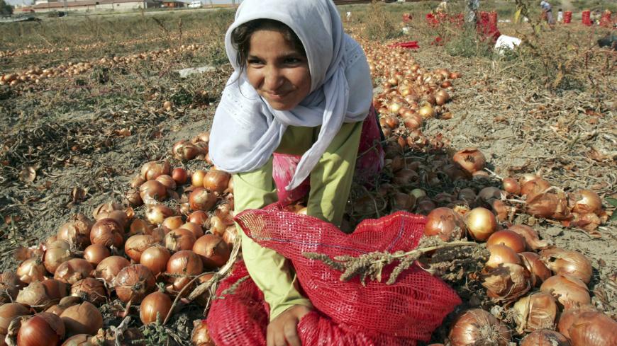 A young migrant worker collects onions during a harvest in Omerlerkoy village, 20 km (12 miles) southwest of Ankara, August 17, 2006. Settlements of plastic tents supported by wooden poles sprout up across the Turkish countryside during the harvest months, when an estimated 6 million workers travel long distances to work on commercial farms. Picture taken August 17, 2006. To match feature TURKEY-MIGRANTS REUTERS/Umit Bektas (TURKEY) - GM1DTVAITJAA