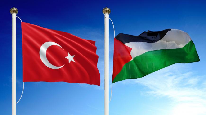 PalestineTurkeyFlags.jpg