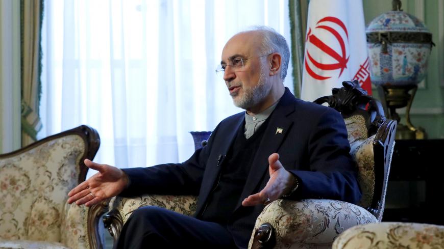 Iran's nuclear chief Ali Akbar Salehi gestures as he speaks to Reuters during an interview in Brussels, Belgium November 27, 2018.  REUTERS/Yves Herman - RC127183BF40
