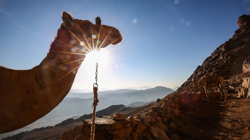 This picture taken on October 19, 2018 shows camels belonging to Sinai bedouins waiting along the footpath leading down from atop Mount Catherine, above the 6th-century Greek Orthodox Christian monastery of Saint Catherine and near the Egyptian town of the same name in south of the Sinai peninsula. (Photo by Sally KANDIL / AFP)        (Photo credit should read SALLY KANDIL/AFP via Getty Images)