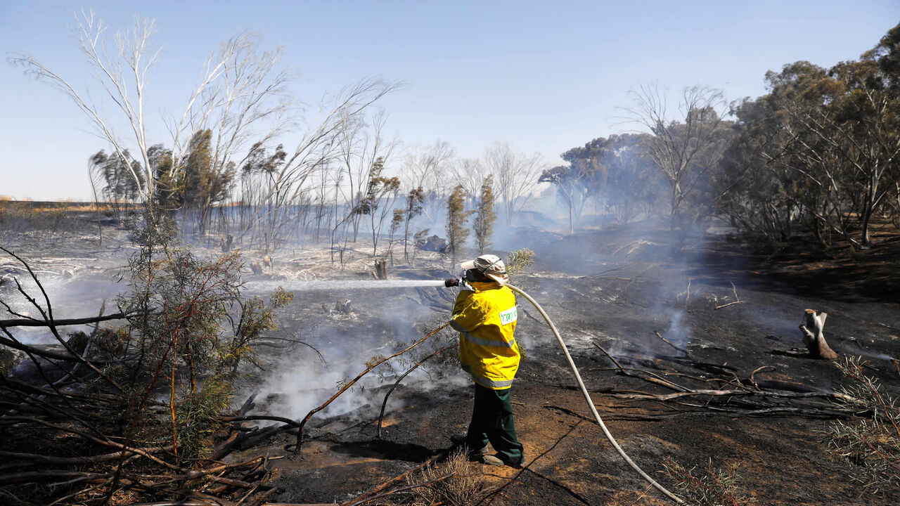 An Israeli farmer tries to extinguish a fire caused by inflammable material attached to a helium balloon flown by Palestinian protesters from across the border, in a wheat field near the Nahal Oz kibbutz, along the border with the Gaza Strip, Israel, May 15, 2019.