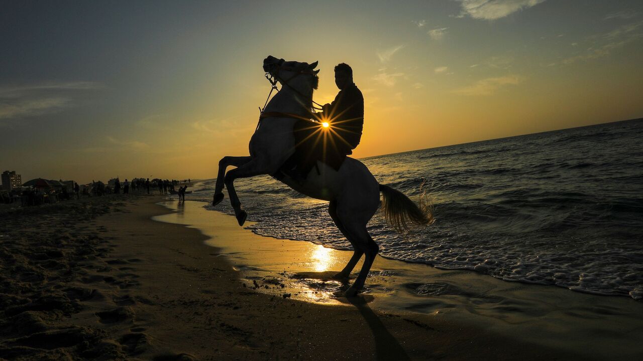 MAHMUD HAMS/AFP via Getty Images