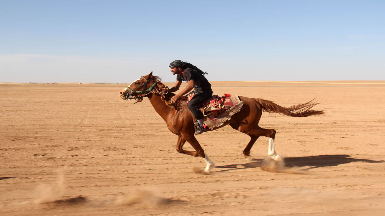 Syrians take part in a horse race for thoroughbred Arabian horses sponsored by Turkish nongovernmental organization IHH, in the southern Aleppo countryside, Syria, May 12, 2017.