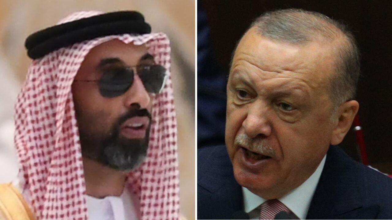 Sheikh Tahnoun bin Zayed al-Nahyan and Erdogan