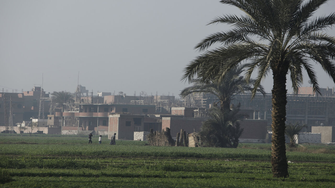 Egyptians walk through a field in the rural district of Fayoum, Egypt, Jan. 15, 2014.