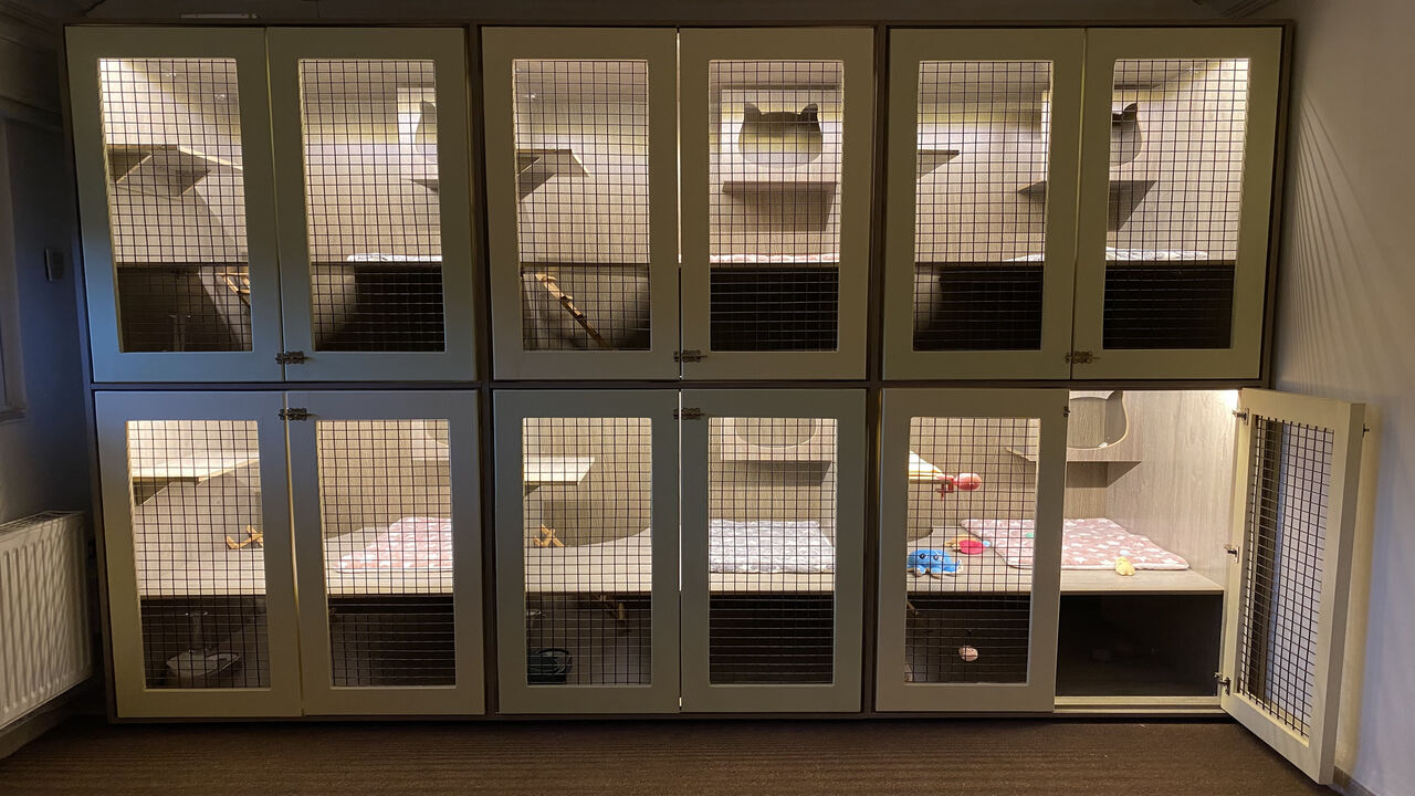 This photo shows some of the "hotel rooms" of the cats at the Mau Hotel, Amman, Jordan, Oct. 10, 2021.