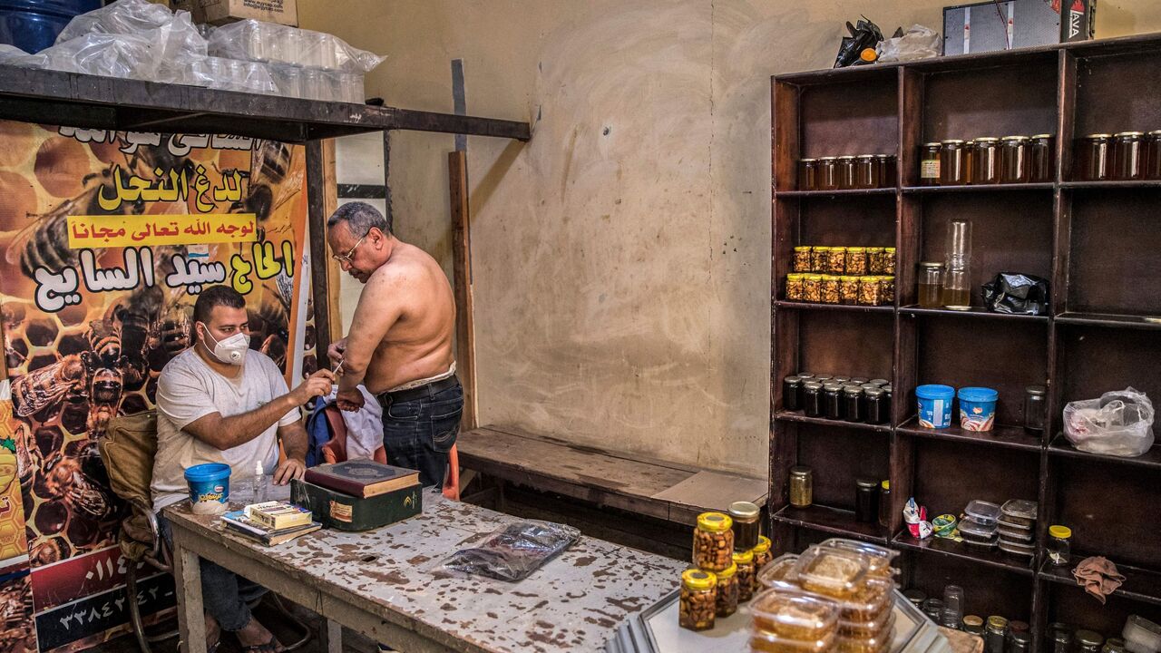 Egypt bees