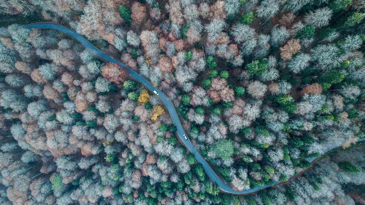 Yedigoller National Park