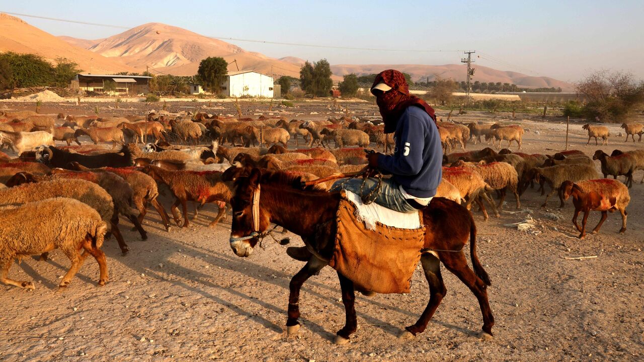 Bedouins