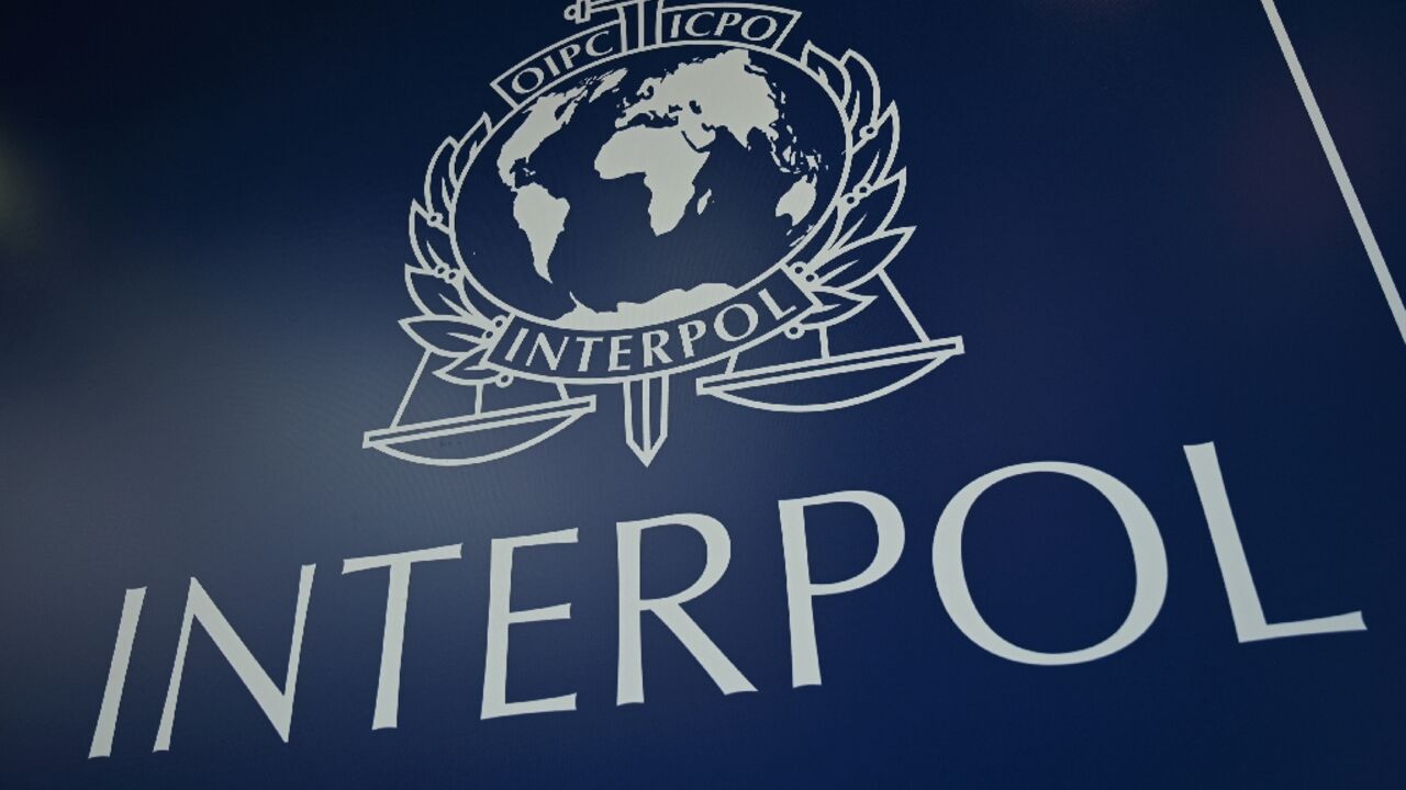 The United Arab Emirates donated tens of millions to Interpol The United Arab Emirates donated tens of millions to Interpol