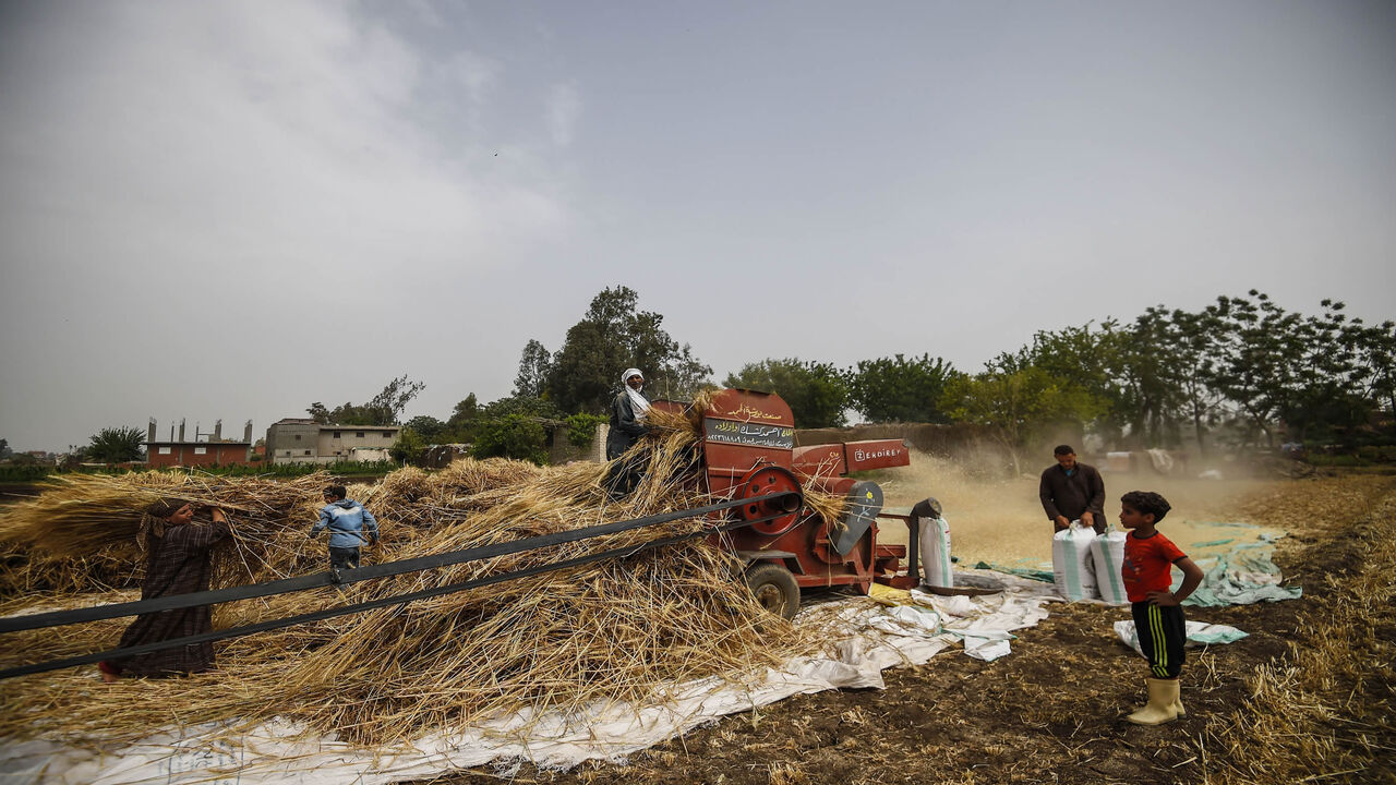 Egyptian workers harvest wheat in Saqiyat al-Manqadi village in the northern Nile Delta province of Menoufia, Egypt, May 1, 2019.