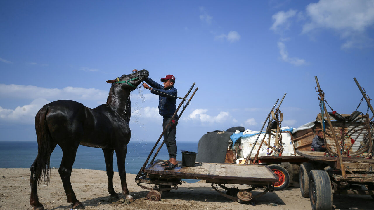 A Palestinian youth washes his family's horse in the Khan Yunis refugee camp, southern Gaza Strip, Feb. 24, 2020.