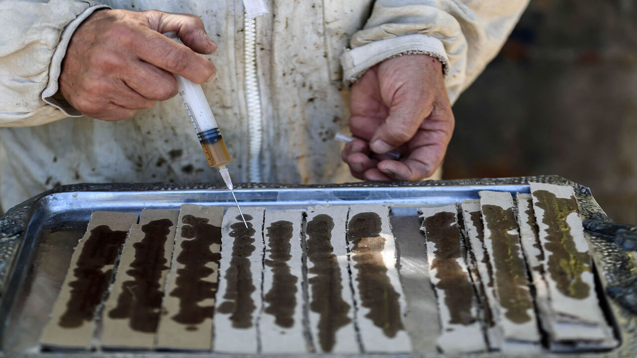 A Syrian beekeeper prepares medicine to inject into hives at a bee farm in the rebel-controlled town of Hamouria, in the eastern Ghouta region on the outskirts of Damascus, Syria, Oct. 2, 2016. Honey is used as a homoeopathic treatment for burns and wounds.