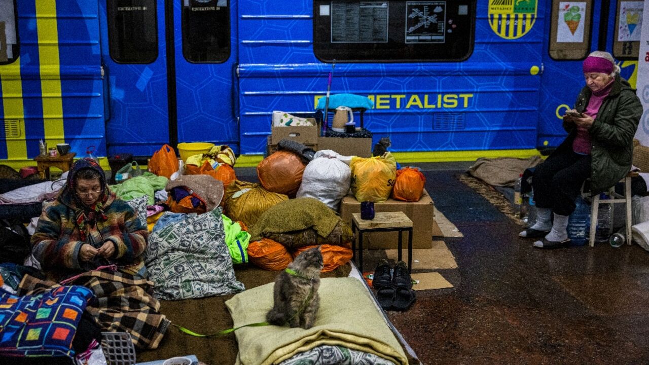 More than eight million people have been internally displaced after Russia's invasion of Ukraine, with more than six million refugees forced to cross borders to seek safety