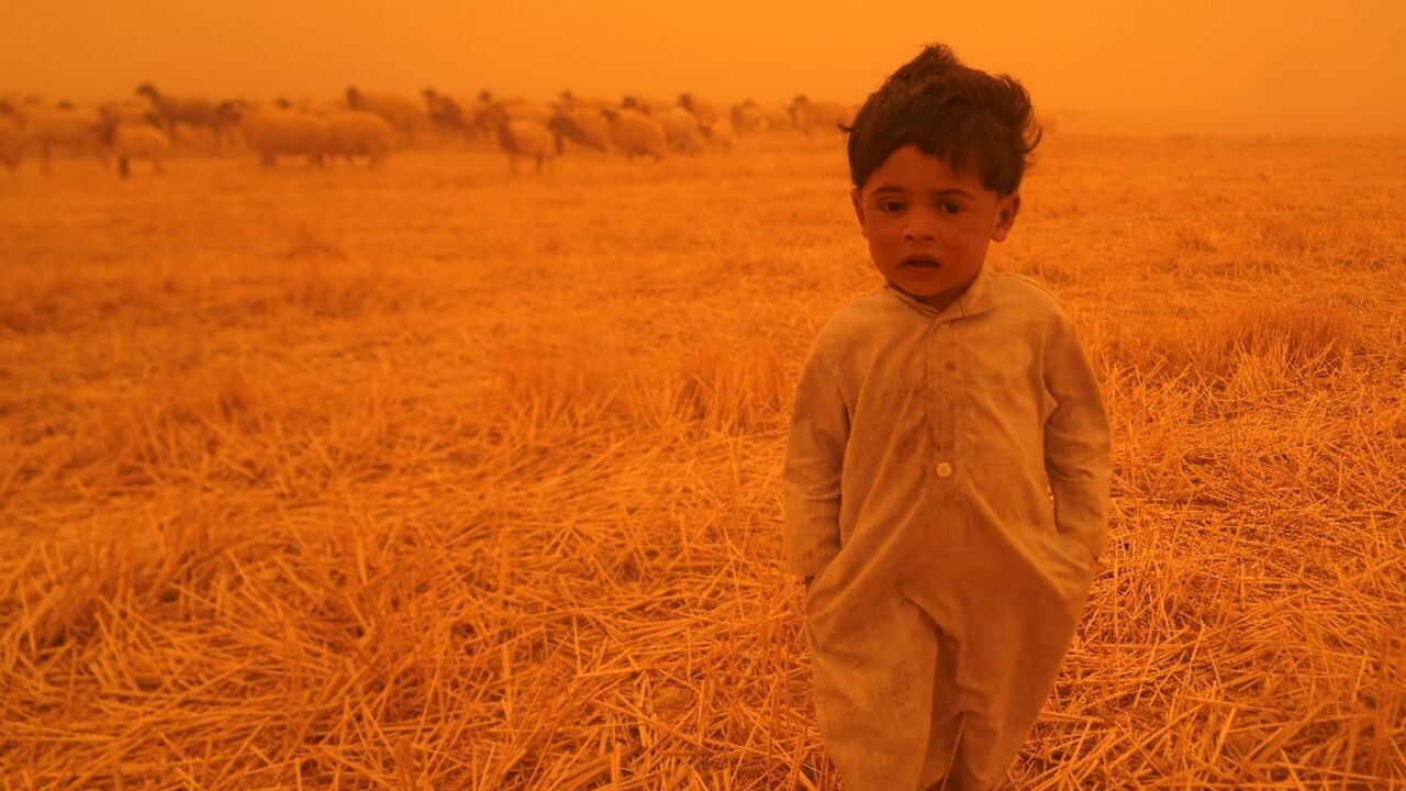 A Bedouin child walks alongside a flock of sheep in the al-Henniyah area outside Najaf, during a sandstorm sweeping Iraq A Bedouin child walks alongside a flock of sheep in the al-Henniyah area outside Najaf, during a sandstorm sweeping Iraq