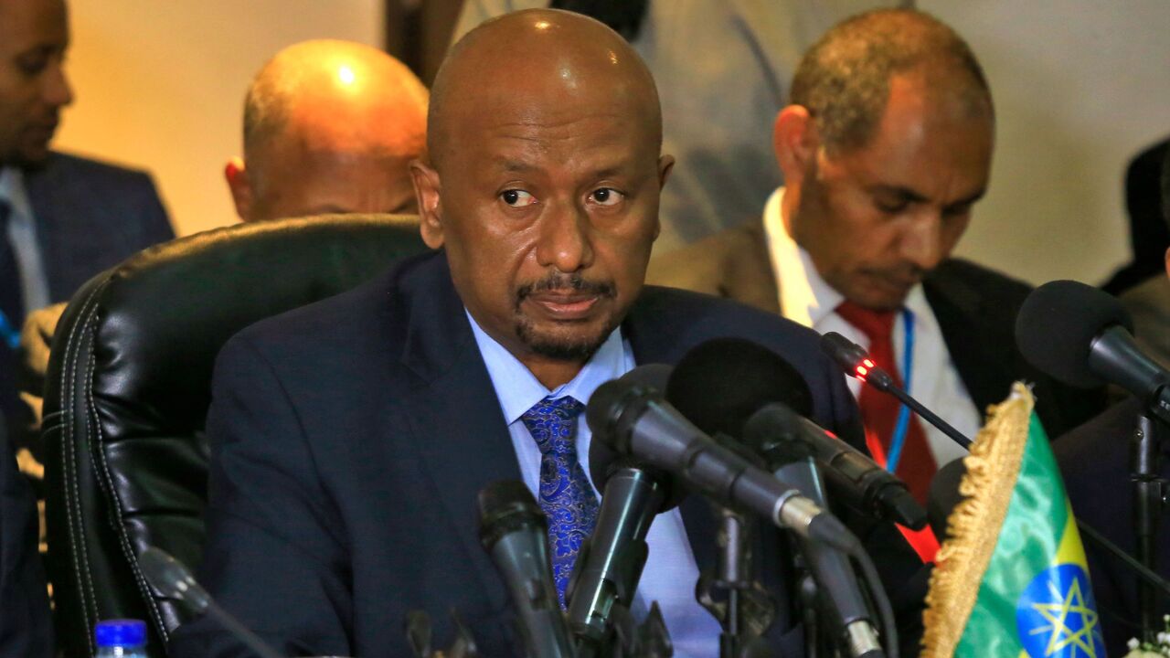 Ethiopian Minister of Water, Irrigation and Electricity Seleshi Bekele.