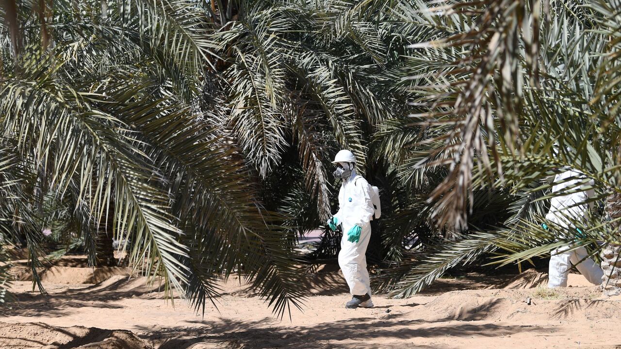 UAE agriculture