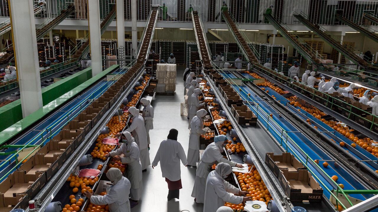 Workers sort oranges at the MAFA farms pack house on January 31, 2021 in Cairo, Egypt.