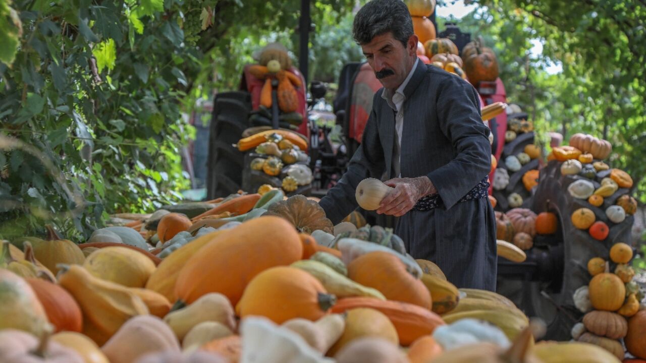 Iraqi Kurdish farmer Azad Muhamad, known as the Halabja model farmer, displays organic fresh produce at his farm near the Kurdish Iraqi town of Halabja Iraqi Kurdish farmer Azad Muhamad, known as the Halabja model farmer, displays organic fresh produce at his farm near the Kurdish Iraqi town of Halabja