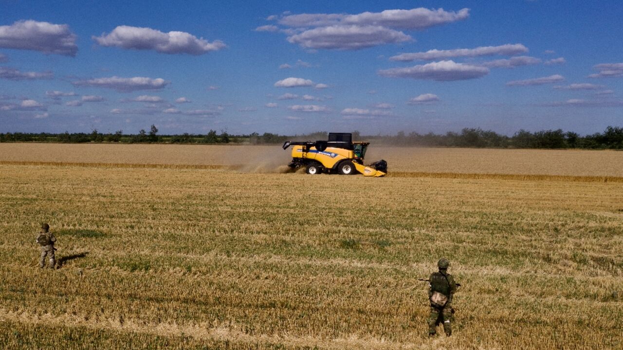 The conflict sparked fears of famine in poorer countries reliant on agricultural goods from Ukraine and Russia, two nations that were responsible for nearly a third of global wheat exports last year