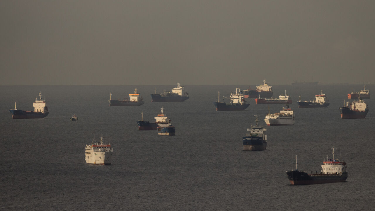 Ships, including those carrying grain from Ukraine and awaiting inspections, are seen anchored off the Istanbul coastline on Oct. 14, 2022, in Istanbul, Turkey. 