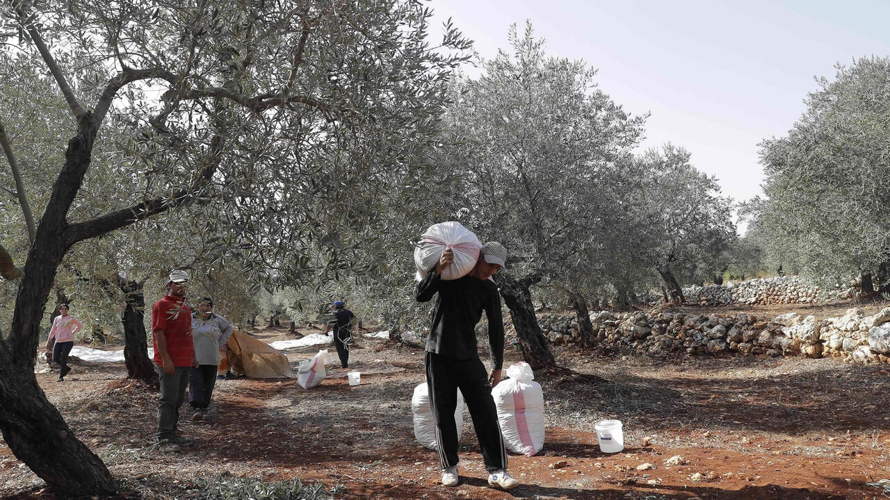 A Lebanese worker carries a bag of harvested olives as he walks through a field in the town of Batroumin, north of Beirut, Lebanon, Oct. 20, 2017.