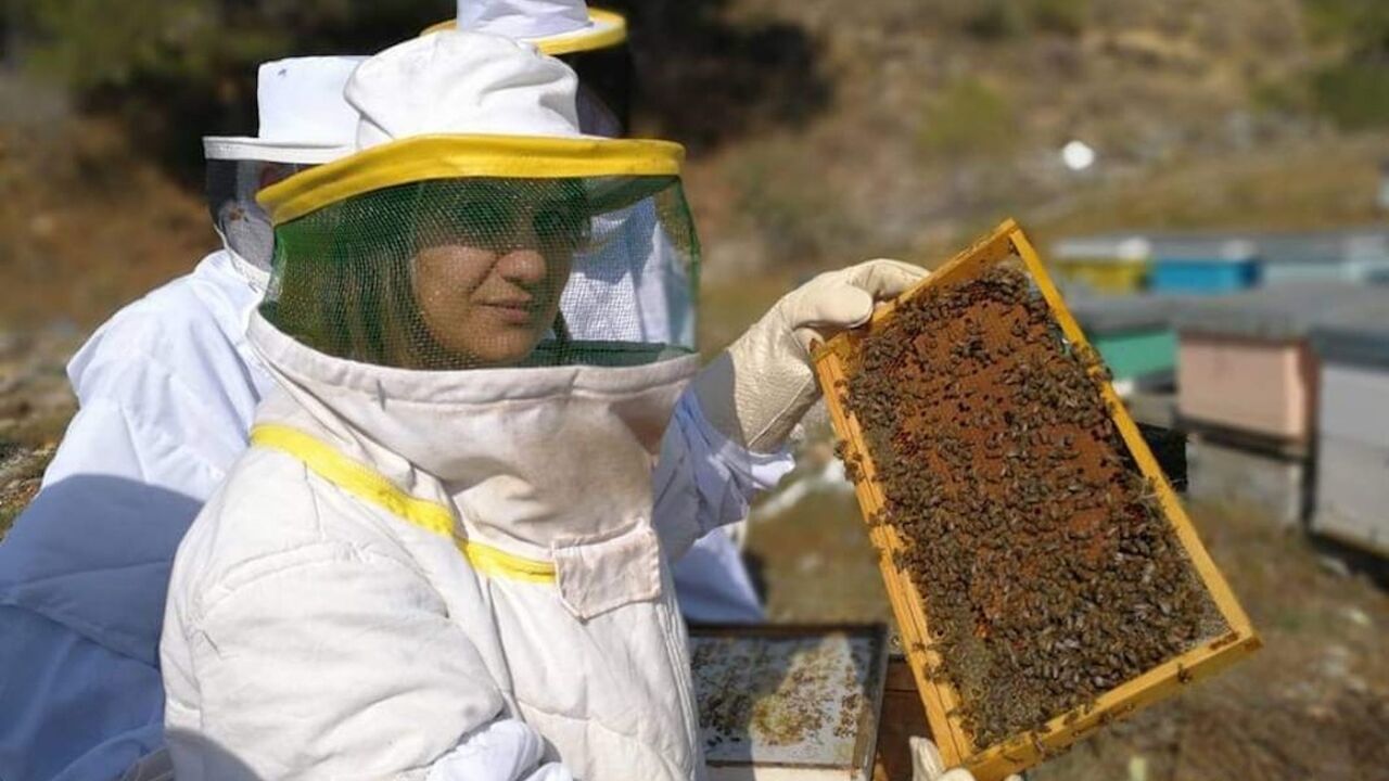 beekeeper