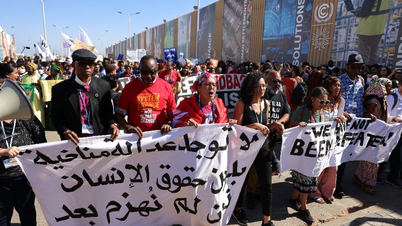 The sister of jailed Egyptian activist Alaa Abdel Fattah, Sanaa Seif (fourth from left), was at the front of the protest for climate justice and human rights