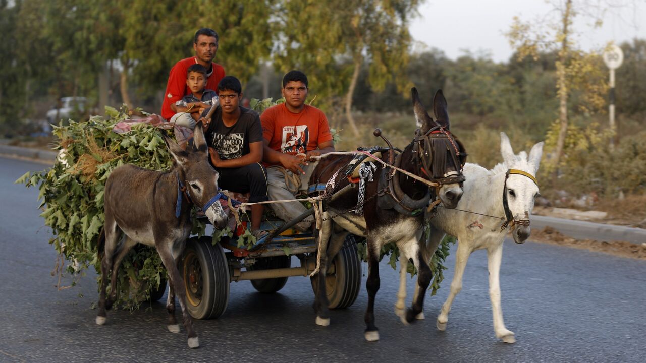 Palestinian men and children ride a donkey cart in Gaza City on Sept. 24, 2014. 