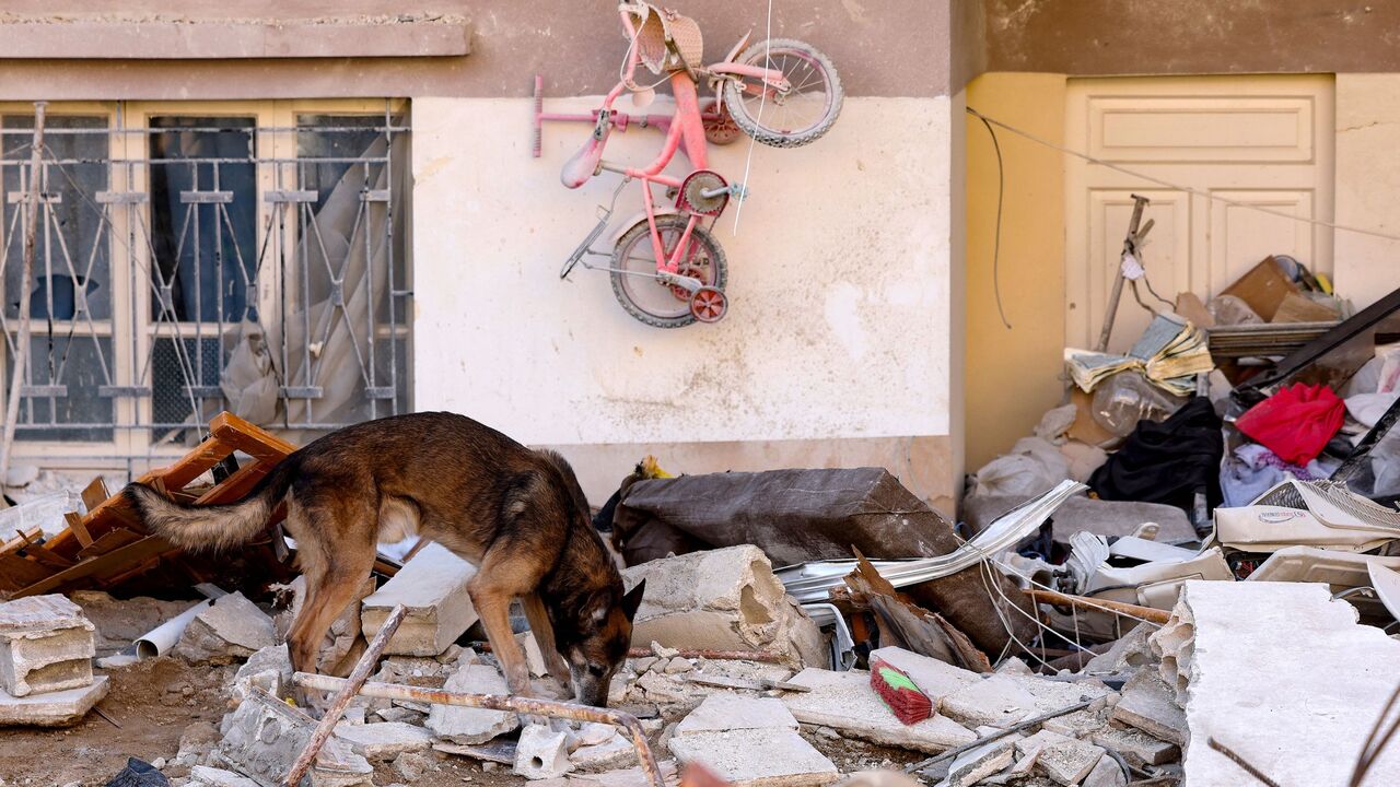 A rescue dog searches for victims and survivors, in the regime-controlled town of Jableh in the province of Latakia, northwest of the Syrian capital, on Feb. 12, 2023, in the aftermath of a deadly earthquake. 