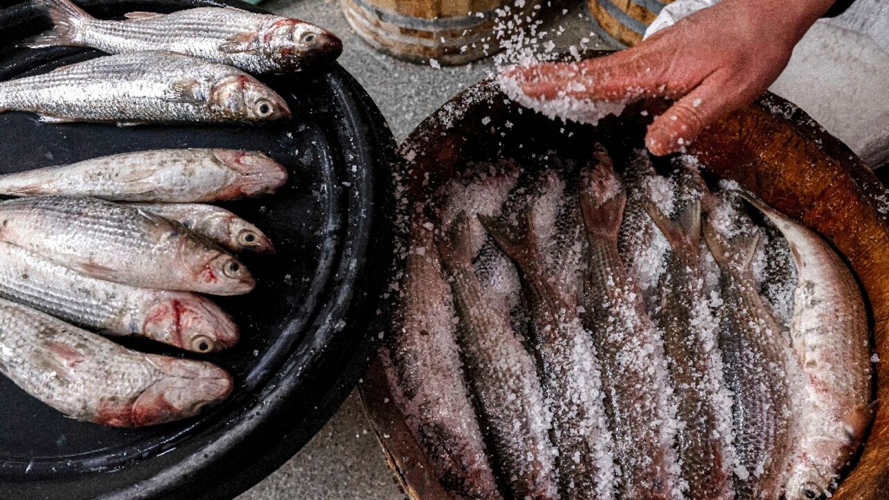 The millennia-old delicacy of feseekh is a staple of the Egyptian spring festival of Sham al-Nessim The millennia-old delicacy of feseekh is a staple of the Egyptian spring festival of Sham al-Nessim