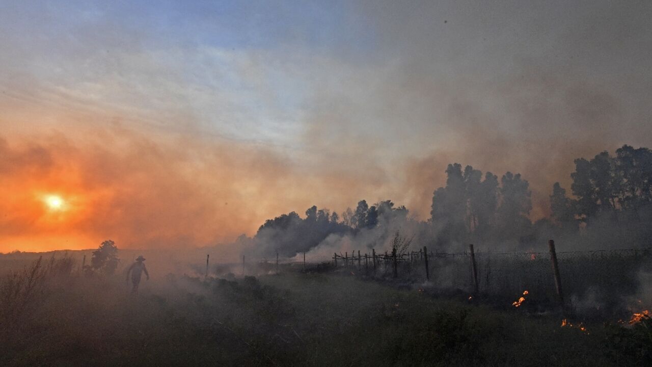 Algeria has mobilised thousands of firefighters and hundreds of firetrucks to fight the wildfires