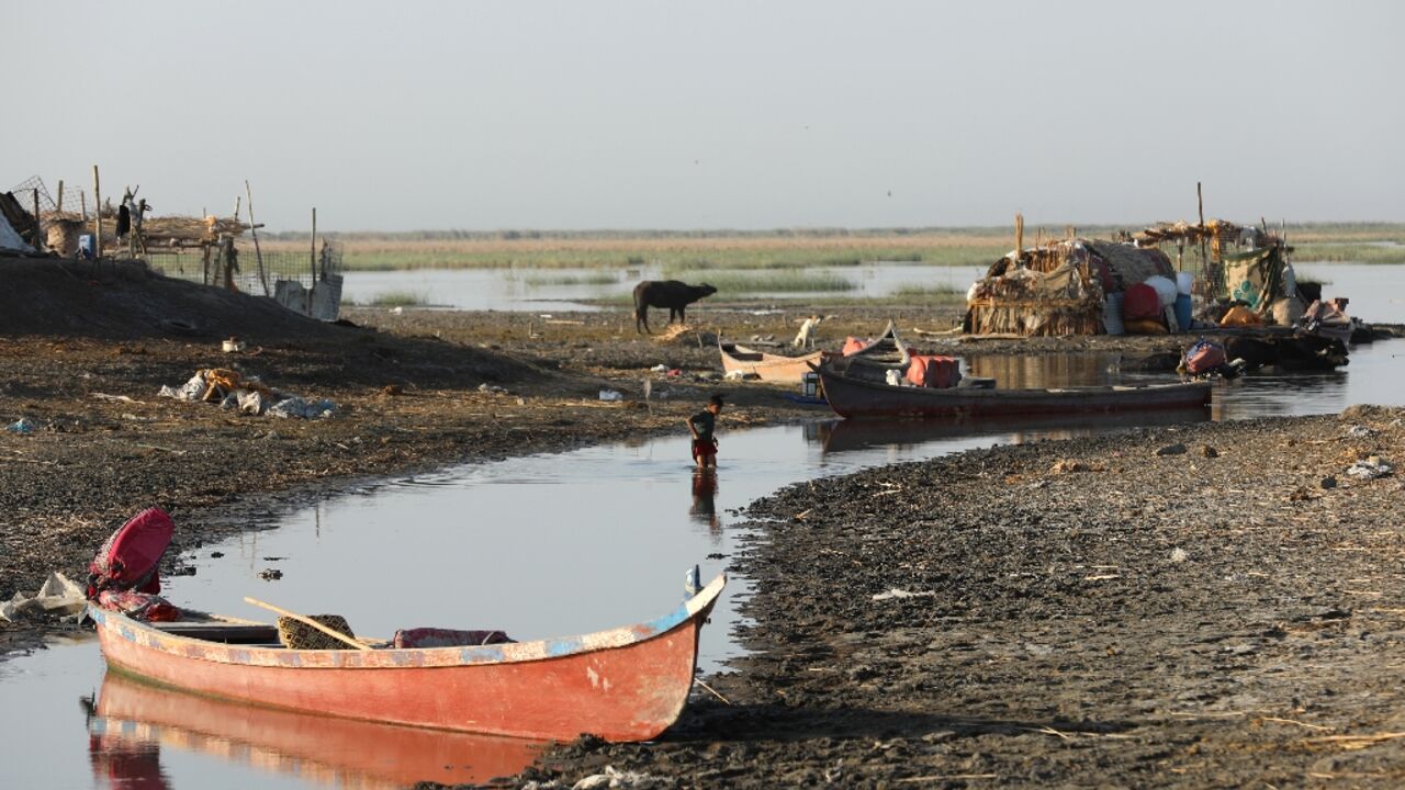 Largely arid Iraq is ranked by the UN as one of the world's five countries most impacted by some effects of climate change