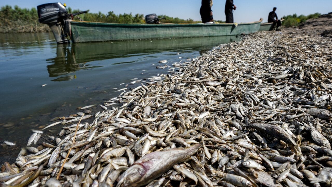 Iraq is ranked by the United Nations as one of the world's five countries most impacted by some effects of climate change Iraq is ranked by the United Nations as one of the world's five countries most impacted by some effects of climate change