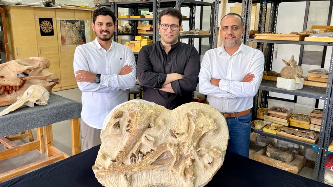 Palaeontologists led by Hesham Sallam of the American University in Cairo (R) show off the type specimen of Tutcetus rayanensis, an extinct species of whale that lived 41 million years ago and still had recognisable legs Palaeontologists led by Hesham Sallam of the American University in Cairo (R) show off the type specimen of Tutcetus rayanensis, an extinct species of whale that lived 41 million years ago and still had recognisable legs