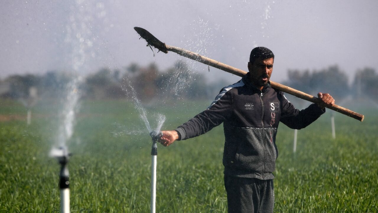 A water-saving irrigation system revived Iraqi farmer Mohammed Sami's crops -- and hopes