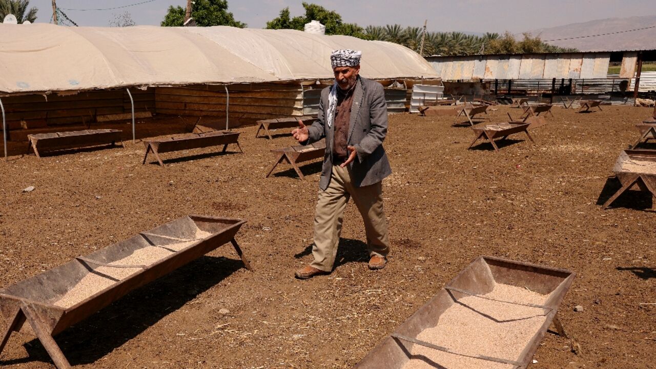 Palestinian farmer Talib Edais's sheep used to graze on the hills near his West Bank home, but an Israeli land seizure order changed that Palestinian farmer Talib Edais's sheep used to graze on the hills near his West Bank home, but an Israeli land seizure order changed that