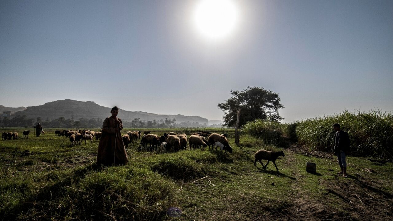 'On The Brink of Dreams' follows teenage girls in a rural part of Egypt