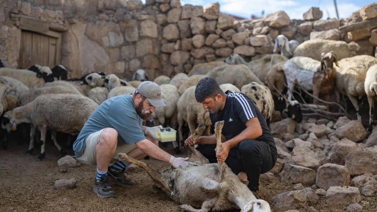 Hasan Kizil volunteers to treat animals injured in a fire Hasan Kizil volunteers to treat animals injured in a fire