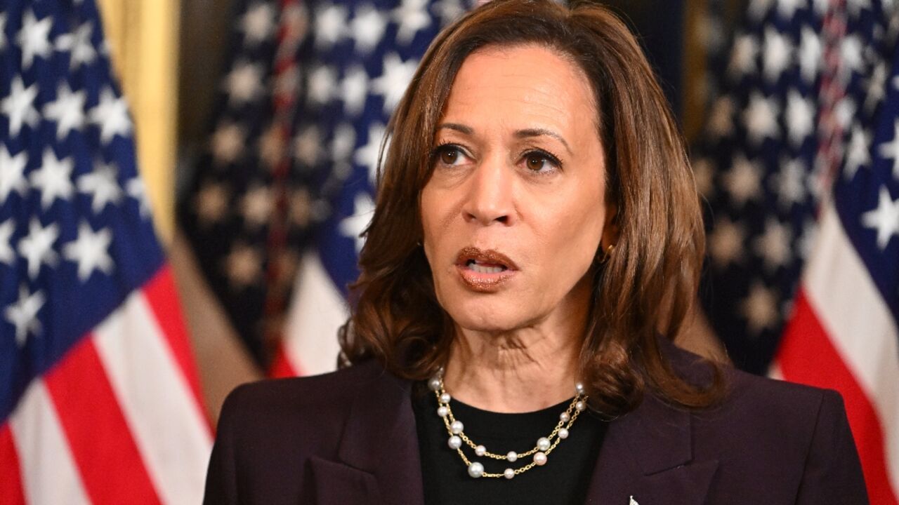 US Vice President Kamala Harris speaks to the press after meeting with Israeli Prime Minister Benjamin Netanyahu on July 25, 2024