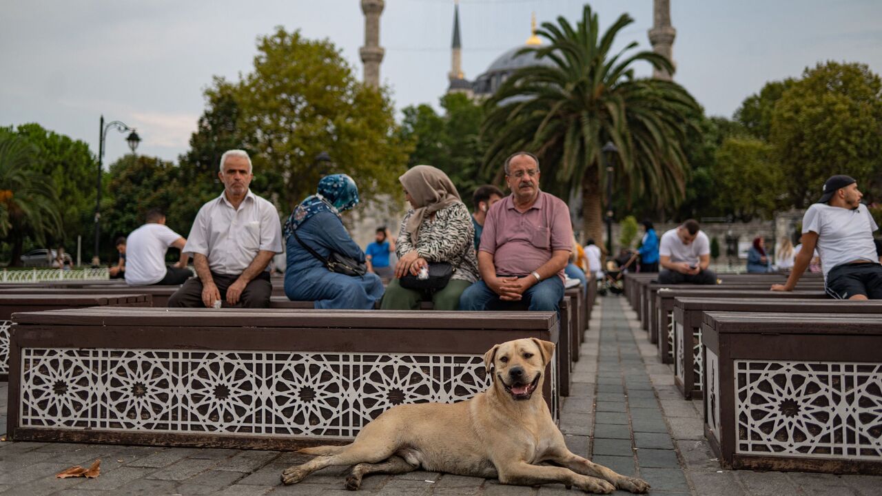 A stray dog sits in front of the Blue Mosque in Istanbul, Aug. 23, 2022.